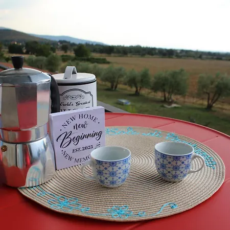 Sole Di Campagna Arezzo