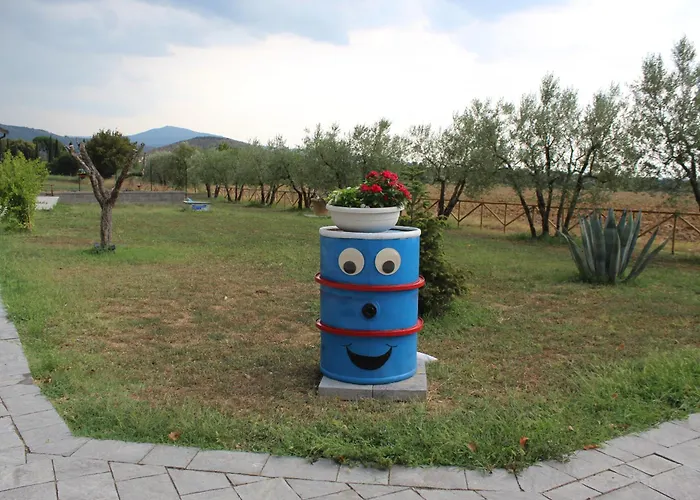 Sole Di Campagna