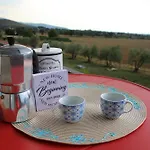Sole Di Campagna Arezzo