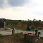 Sole Di Campagna Arezzo