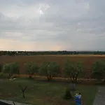 Sole Di Campagna *