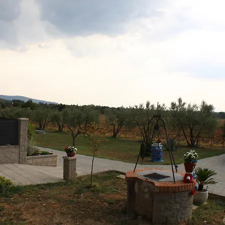 Sole Di Campagna ארצו