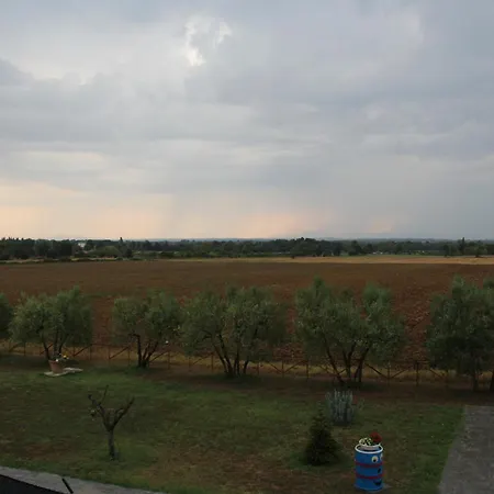 Sole Di Campagna *