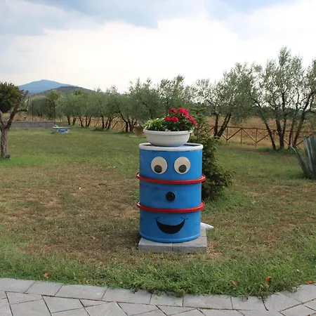 Sole Di Campagna